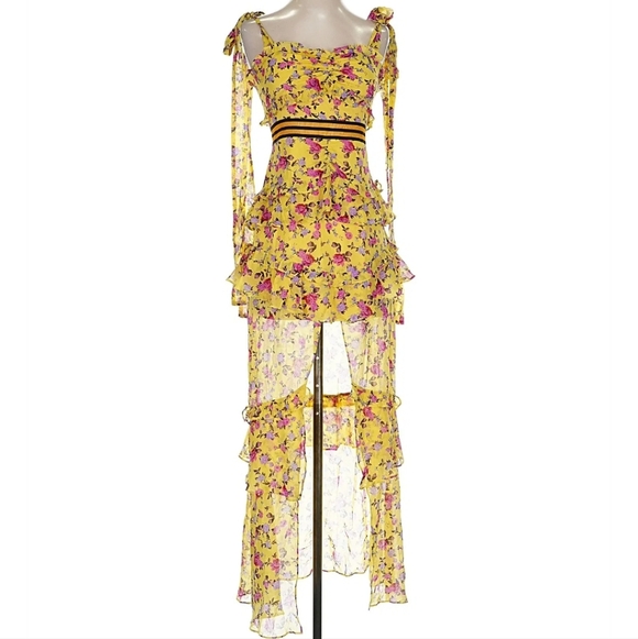 Dresses & Skirts - For Love and Lemons Maison Floral Maxi Dress Small NWT